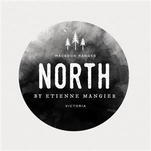 Wordpress Themes Like 99designs