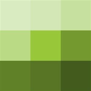 99designs Infographic